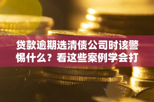 武汉贷款逾期选清债公司时该警惕什么？看这些案例学会打翻身仗