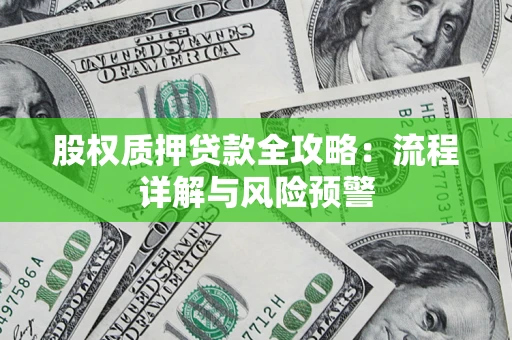 武汉股权质押贷款全攻略：流程详解与风险预警