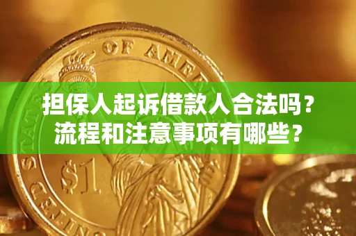 武汉担保人起诉借款人合法吗？流程和注意事项有哪些？