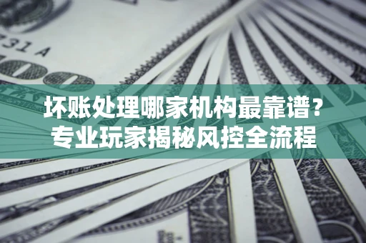 武汉坏账处理哪家机构最靠谱？专业玩家揭秘风控全流程