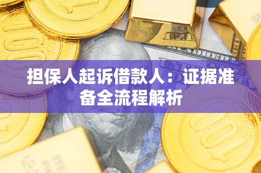 武汉担保人起诉借款人：证据准备全流程解析