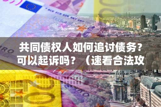 武汉共同债权人如何追讨债务？可以起诉吗？（速看合法攻略）
