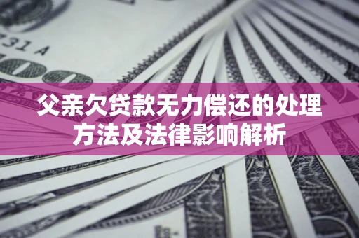 武汉父亲欠贷款无力偿还的处理方法及法律影响解析