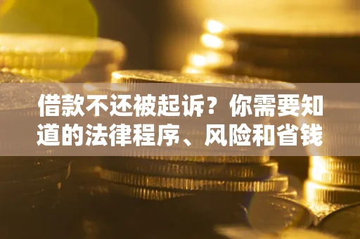 武汉借款不还被起诉？你需要知道的法律程序、风险和省钱技巧